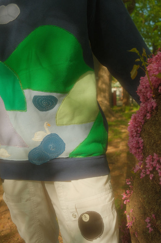 swan lake landscape *S*